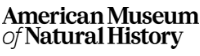 American-Museum-Natural-History