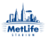 MetLife-Stadium
