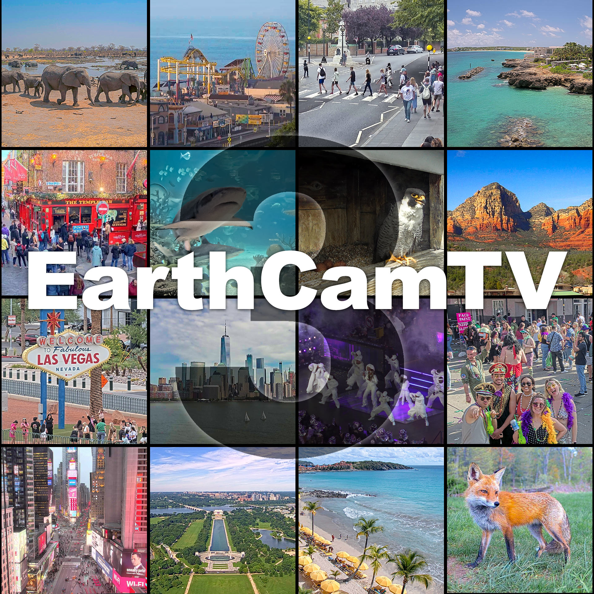 ECTV3_Splash-Screen_Final-Square